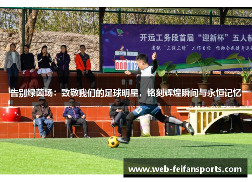 告别绿茵场：致敬我们的足球明星，铭刻辉煌瞬间与永恒记忆