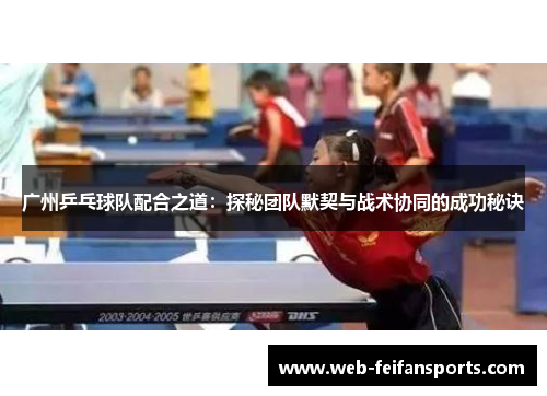 广州乒乓球队配合之道：探秘团队默契与战术协同的成功秘诀
