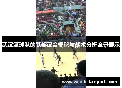 武汉篮球队的默契配合揭秘与战术分析全景展示