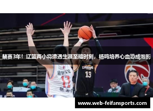 禁赛3年！辽篮两小将遭遇生涯至暗时刻，杨鸣培养心血恐成泡影